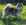 élevage pomsky france, pomsky france, chiot pomsky , pomsky bretagne, pomsky génétique, meilleur élevage de pomsky france, couleur pomsky, pomsky yeux bleus, chiots pomsky yeux bleu, alimentation Pomsky, prix Pomsky, meilleur élevage france pomsky, taille