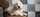 élevage goldendoodle Bretagne, Goldendoodle France, chiots goldendoodle, prix goldendoodle, croisé caniche, chien hypoallergénique, chien qui ne perd pas ses poils, doodle, poodle, croisé golden, chien bretagne, labradoodle, croisé labrador