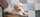 élevage goldendoodle Bretagne, Goldendoodle France, chiots goldendoodle, prix goldendoodle, croisé caniche, chien hypoallergénique, chien qui ne perd pas ses poils, doodle, poodle, croisé golden, chien bretagne, labradoodle, croisé labrador
