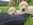 élevage goldendoodle Bretagne, Goldendoodle France, chiots goldendoodle, prix goldendoodle, croisé caniche, chien hypoallergénique, chien qui ne perd pas ses poils, doodle, poodle, croisé golden, chien bretagne, labradoodle, croisé labrador