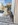 élevage pomsky france, pomsky france, chiot pomsky , pomsky bretagne, pomsky génétique, meilleur élevage de pomsky france, couleur pomsky, pomsky yeux bleus, chiots pomsky yeux bleu, alimentation Pomsky, prix Pomsky, meilleur élevage france pomsky, taille