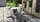 élevage pomsky france, pomsky france, chiot pomsky , pomsky bretagne, pomsky génétique, meilleur élevage de pomsky france, couleur pomsky, pomsky yeux bleus, chiots pomsky yeux bleu, alimentation Pomsky, prix Pomsky, meilleur élevage france pomsky, taille