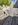 élevage pomsky france, pomsky france, chiot pomsky , pomsky bretagne, pomsky génétique, meilleur élevage de pomsky france, couleur pomsky, pomsky yeux bleus, chiots pomsky yeux bleu, alimentation Pomsky, prix Pomsky, meilleur élevage france pomsky, taille